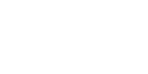 Primal