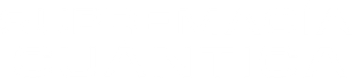 Supremacía Quántica